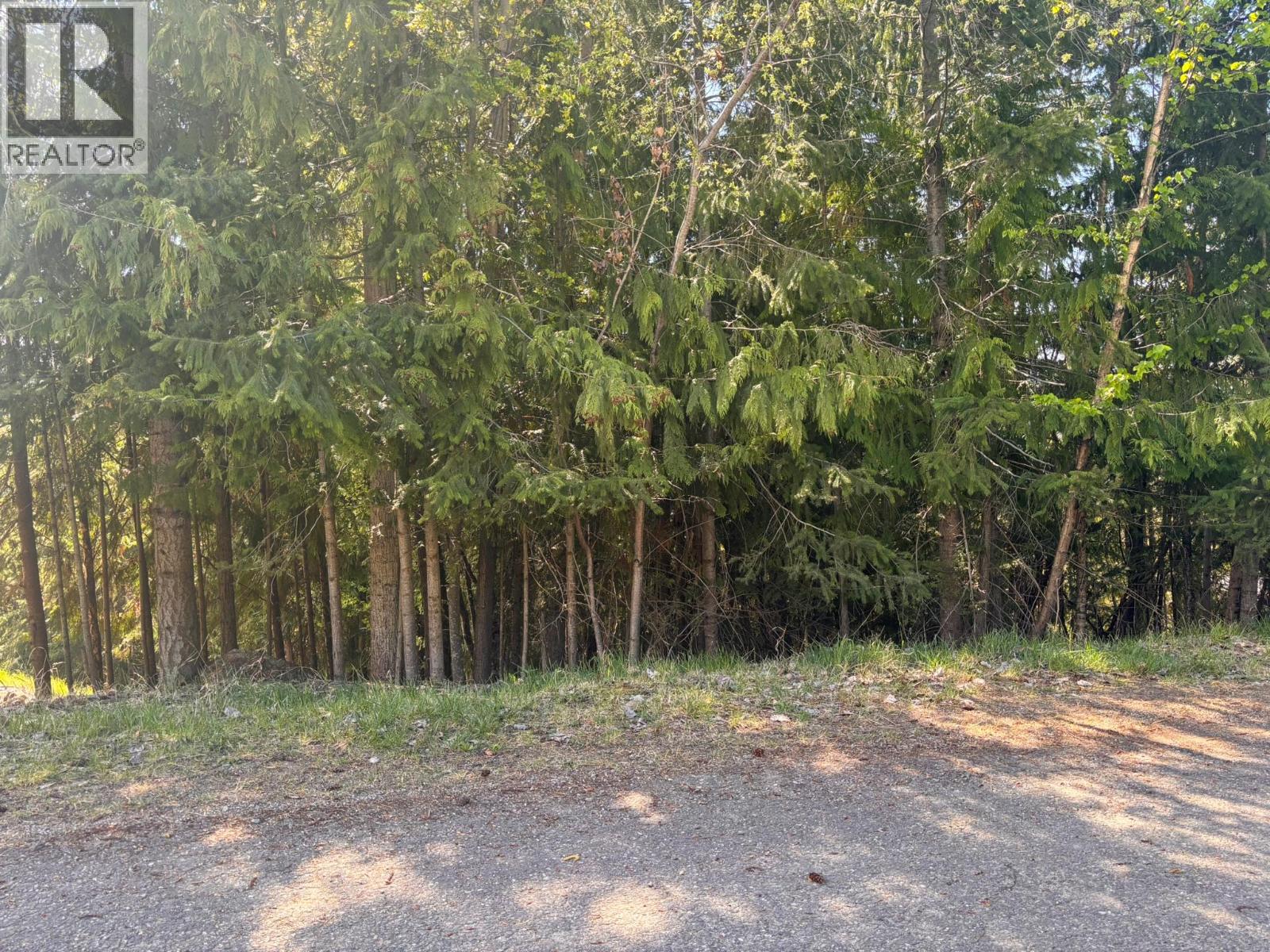 Lot 8 Stampede Trail, Anglemont, British Columbia
