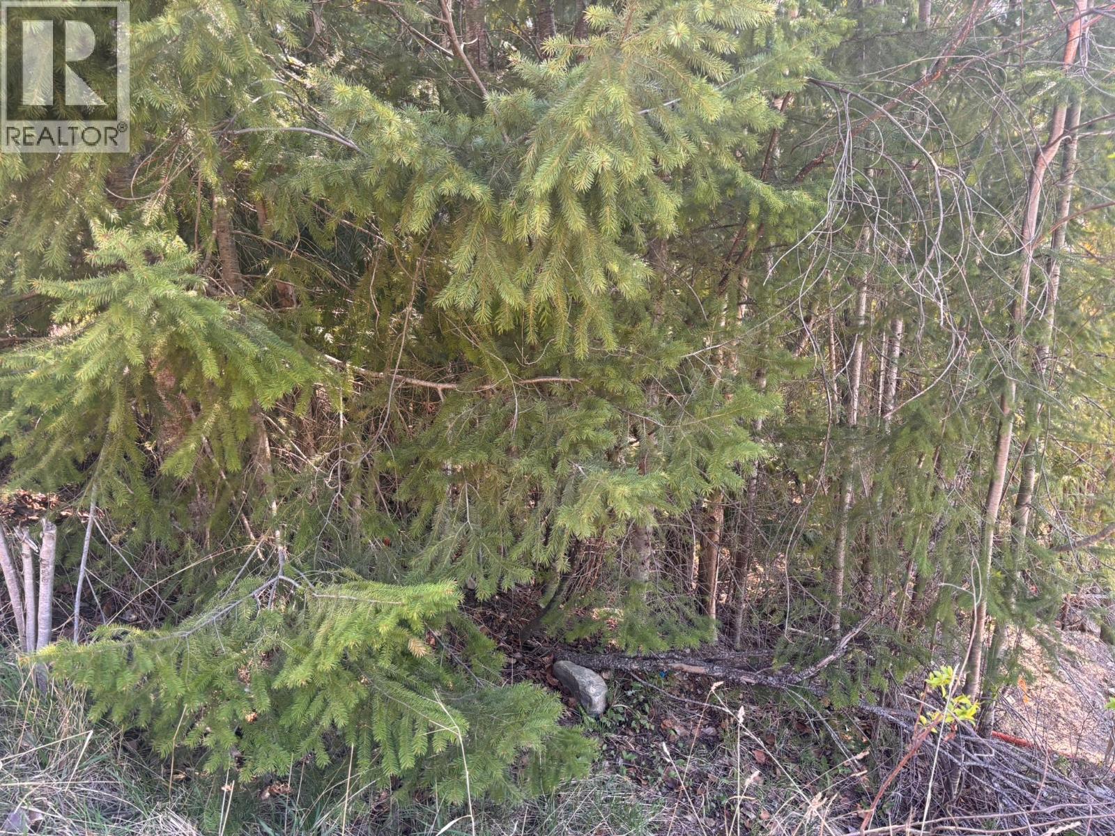 Lot 8 Stampede Trail, Anglemont, British Columbia  V0E 1M8 - Photo 3 - 10384519