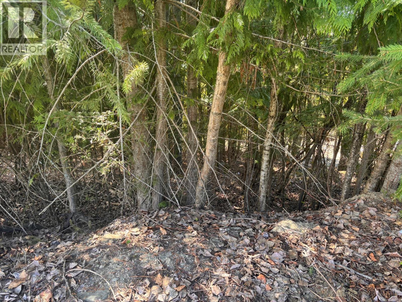 Lot 8 Stampede Trail, Anglemont, British Columbia  V0E 1M8 - Photo 4 - 10384519