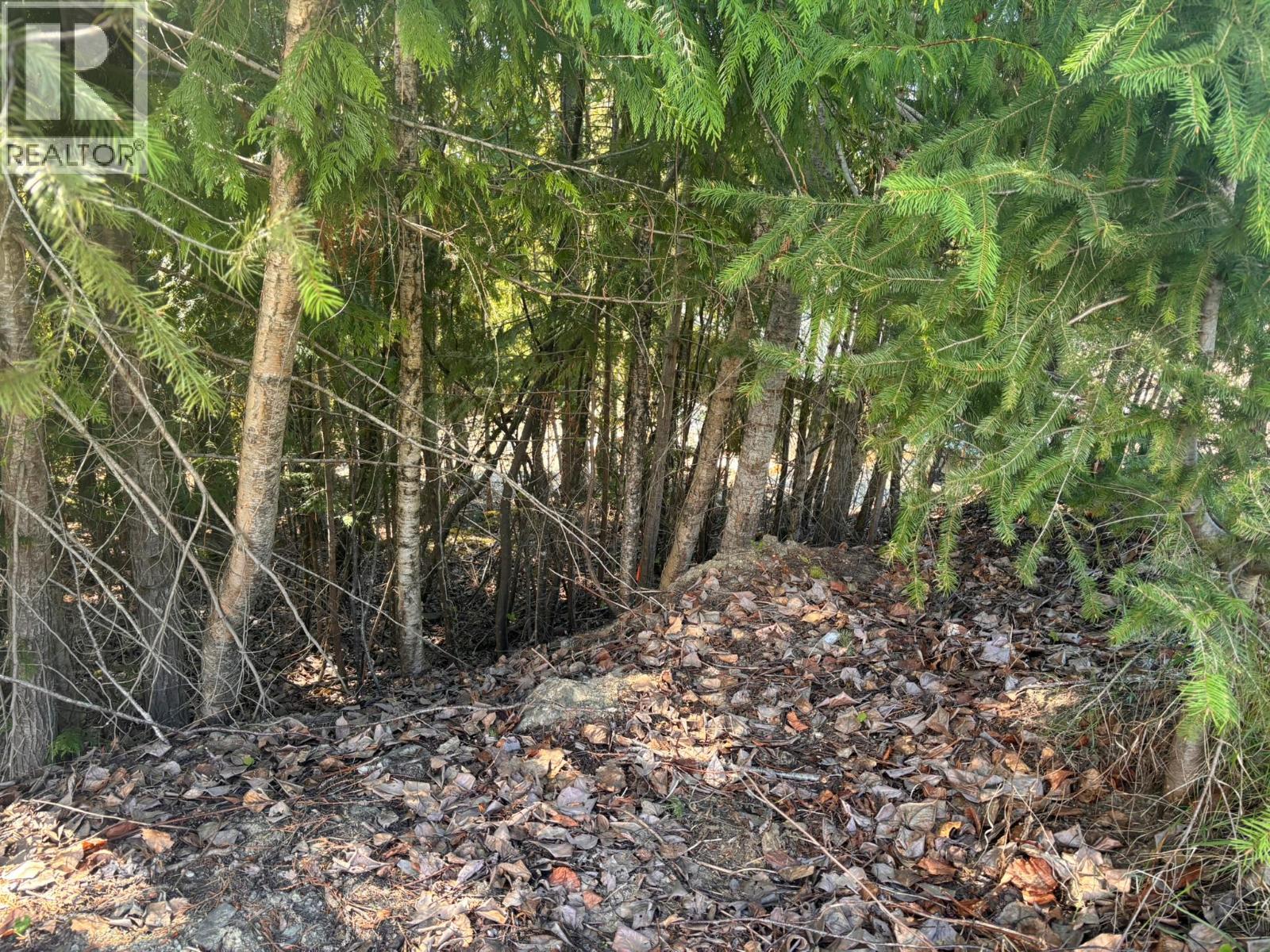 Lot 8 Stampede Trail, Anglemont, British Columbia  V0E 1M8 - Photo 6 - 10384519