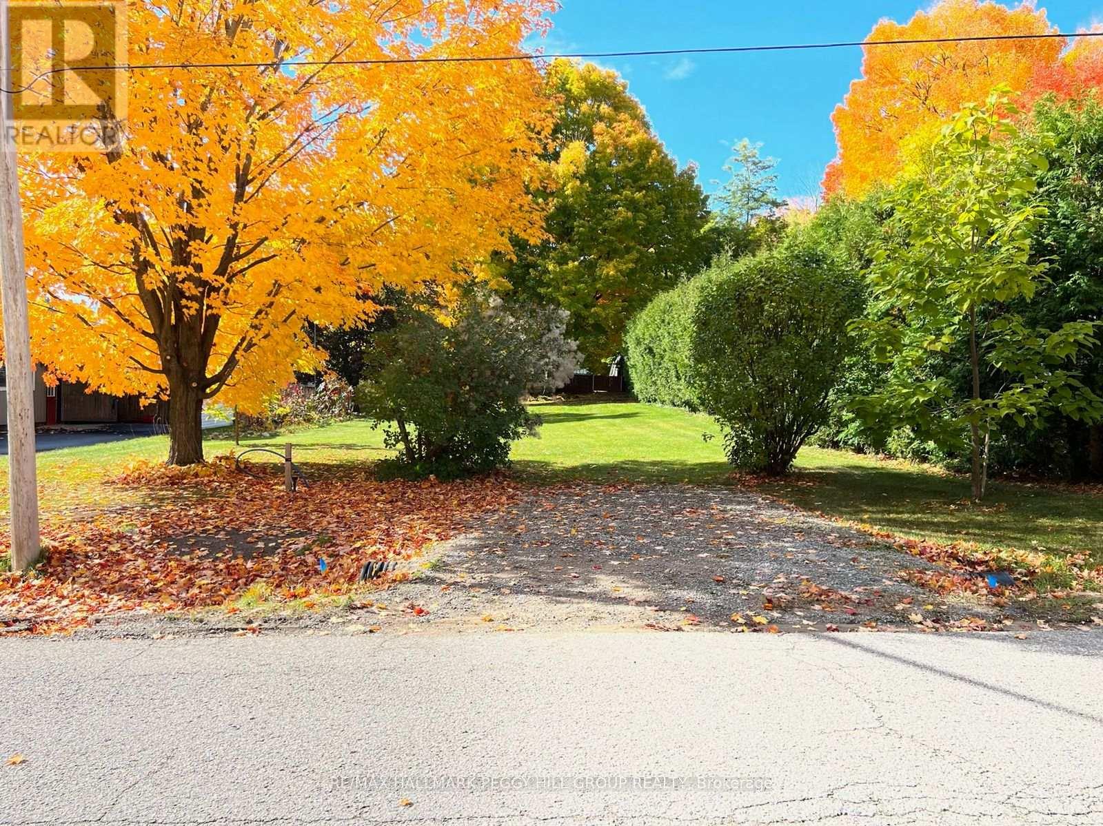 318 Palmer Street, Tay, Ontario  L0K 2C0 - Photo 6 - S12821978