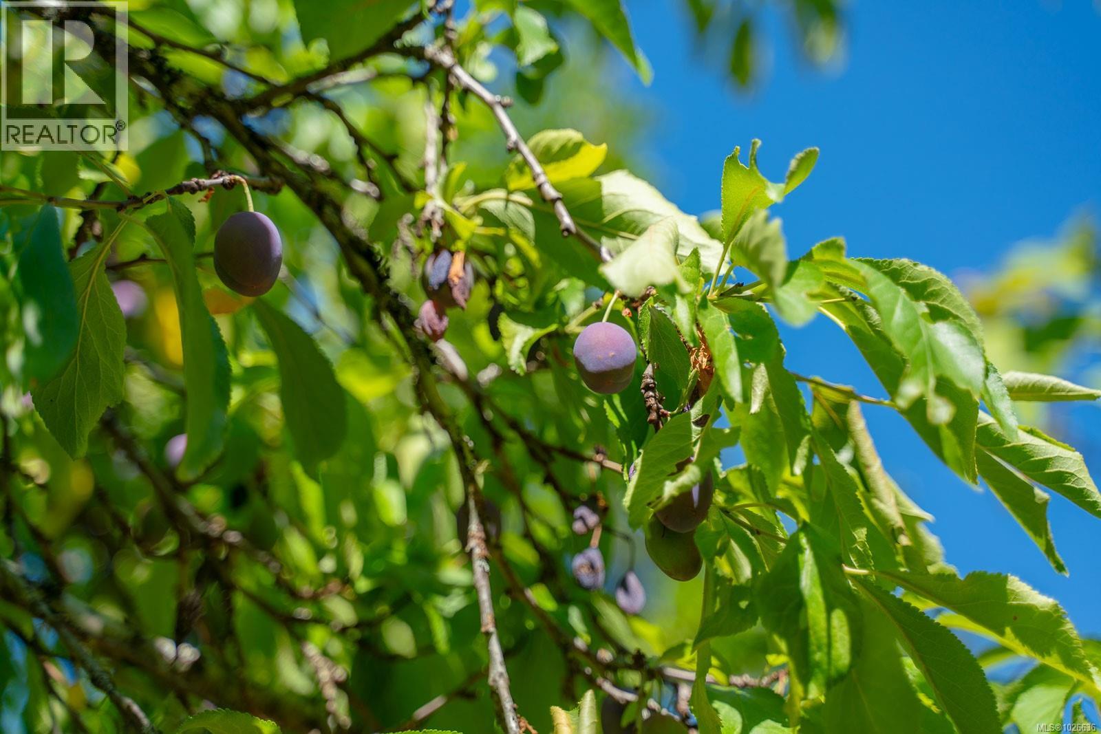150 Jenkins Rd, Salt Spring, British Columbia  V8K 2M9 - Photo 59 - 1026636