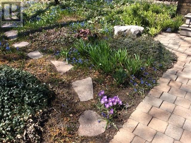 23 Woodlawn Avenue, Ottawa, Ontario  K1S 2S8 - Photo 46 - X13032760