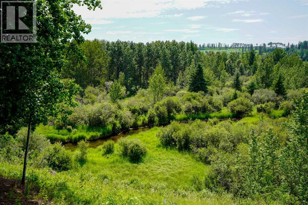 371060 Range Road 5-3, Rural Clearwater County, Alberta  T0M 0M0 - Photo 16 - A2302855