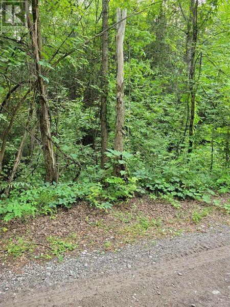 8 St. Marks Road, Stirling-Rawdon, Ontario  K0K 2M0 - Photo 8 - X12665330