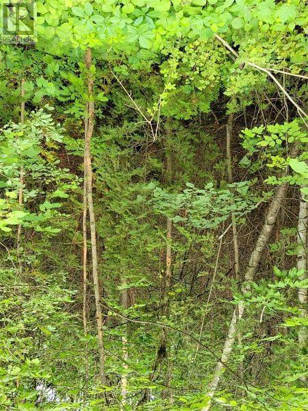 8 St. Marks Road, Stirling-Rawdon, Ontario  K0K 2M0 - Photo 7 - X12665330