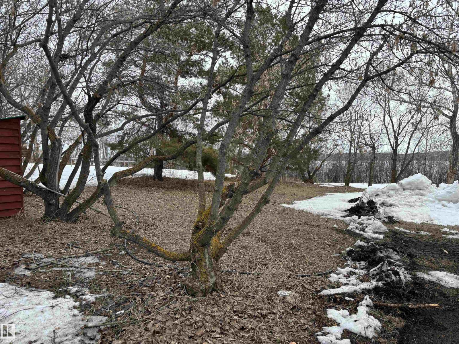 #307 56415 Rng Road 112, Rural St. Paul County, Alberta  T0A 2Y0 - Photo 22 - E4483590