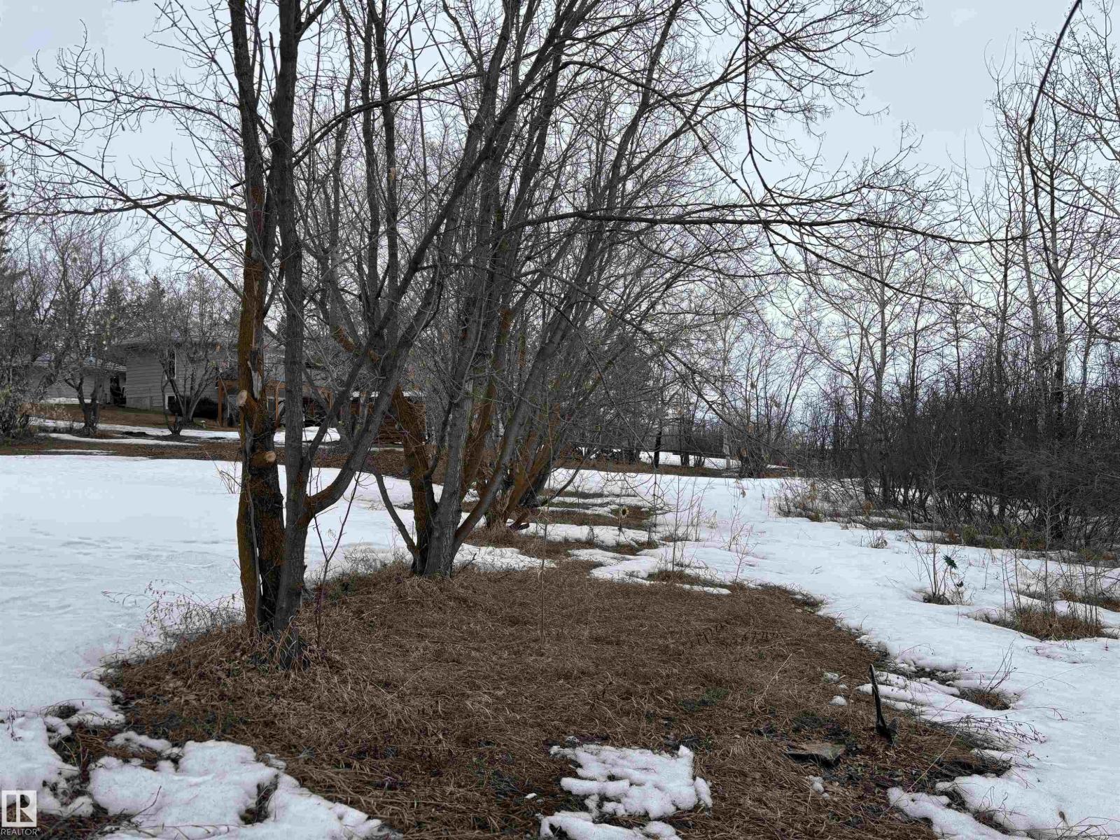 #306 56415 Rng Road 112, Rural St. Paul County, Alberta  T0A 2Y0 - Photo 18 - E4483591