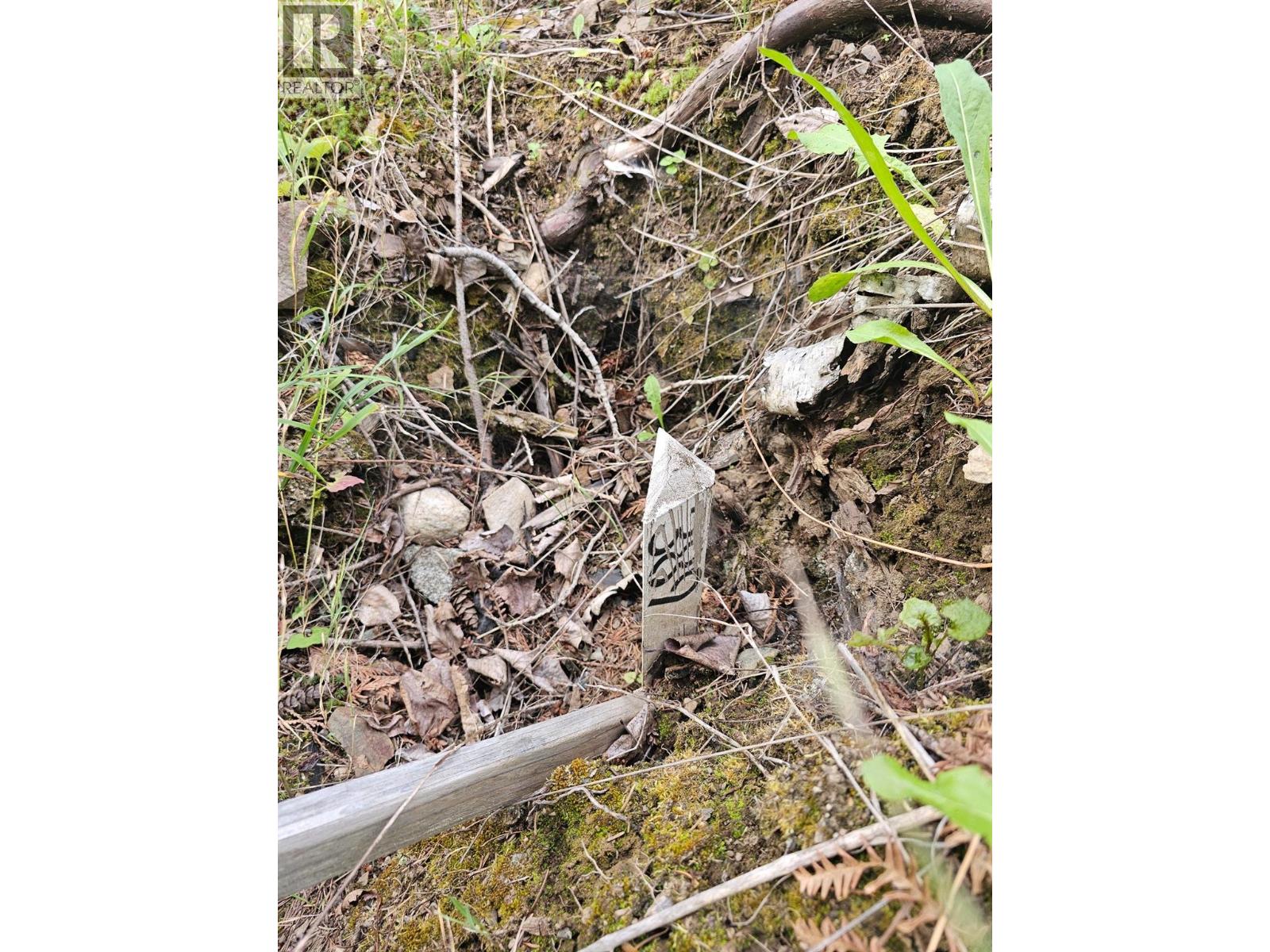 Lot 389 Anglemont Way, Anglemont, British Columbia  V0E 1M8 - Photo 15 - 10384280