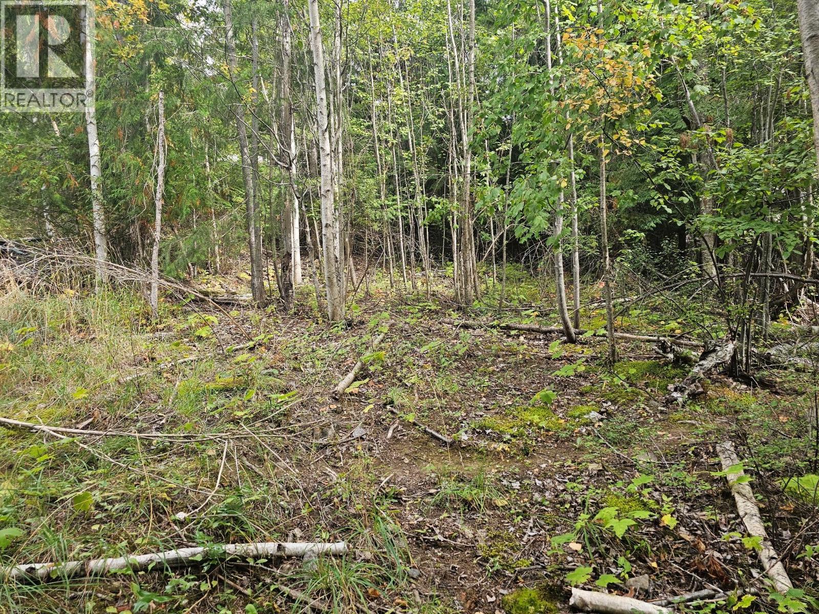 Lot 389 Anglemont Way, Anglemont, British Columbia  V0E 1M8 - Photo 19 - 10384280