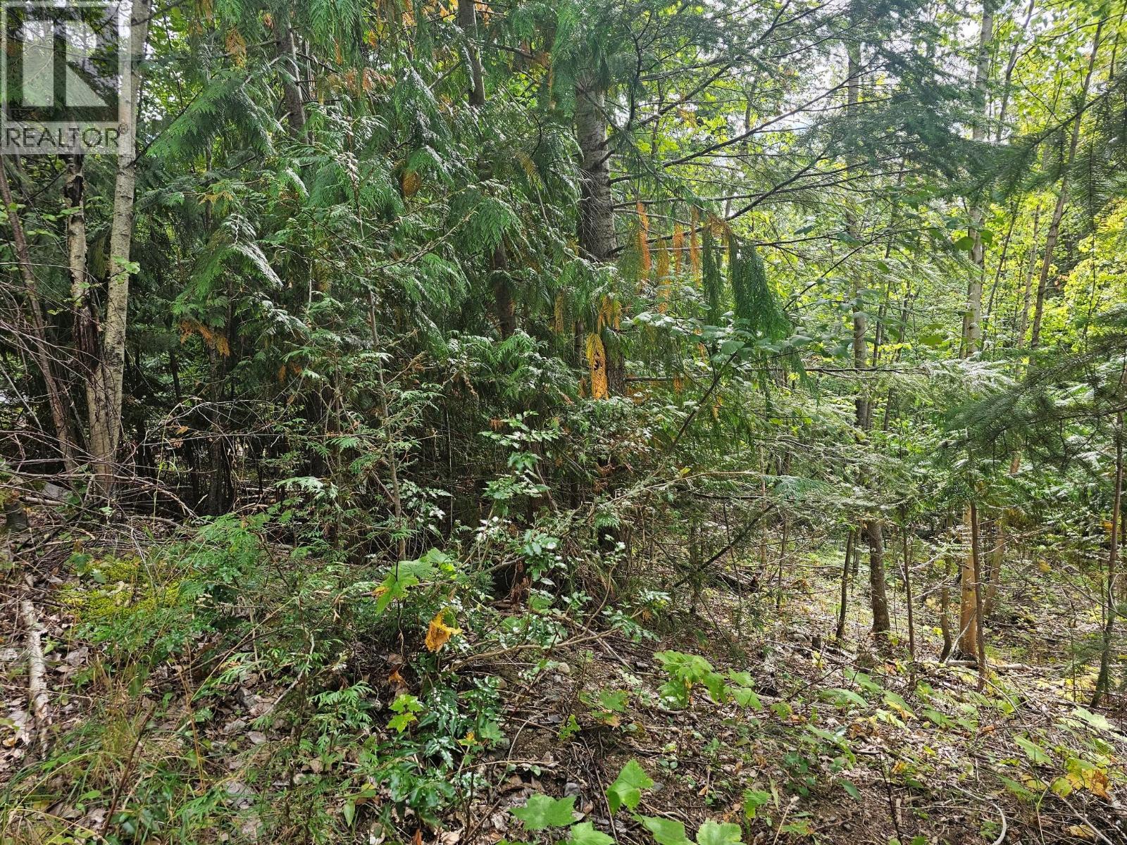 Lot 389 Anglemont Way, Anglemont, British Columbia  V0E 1M8 - Photo 20 - 10384280