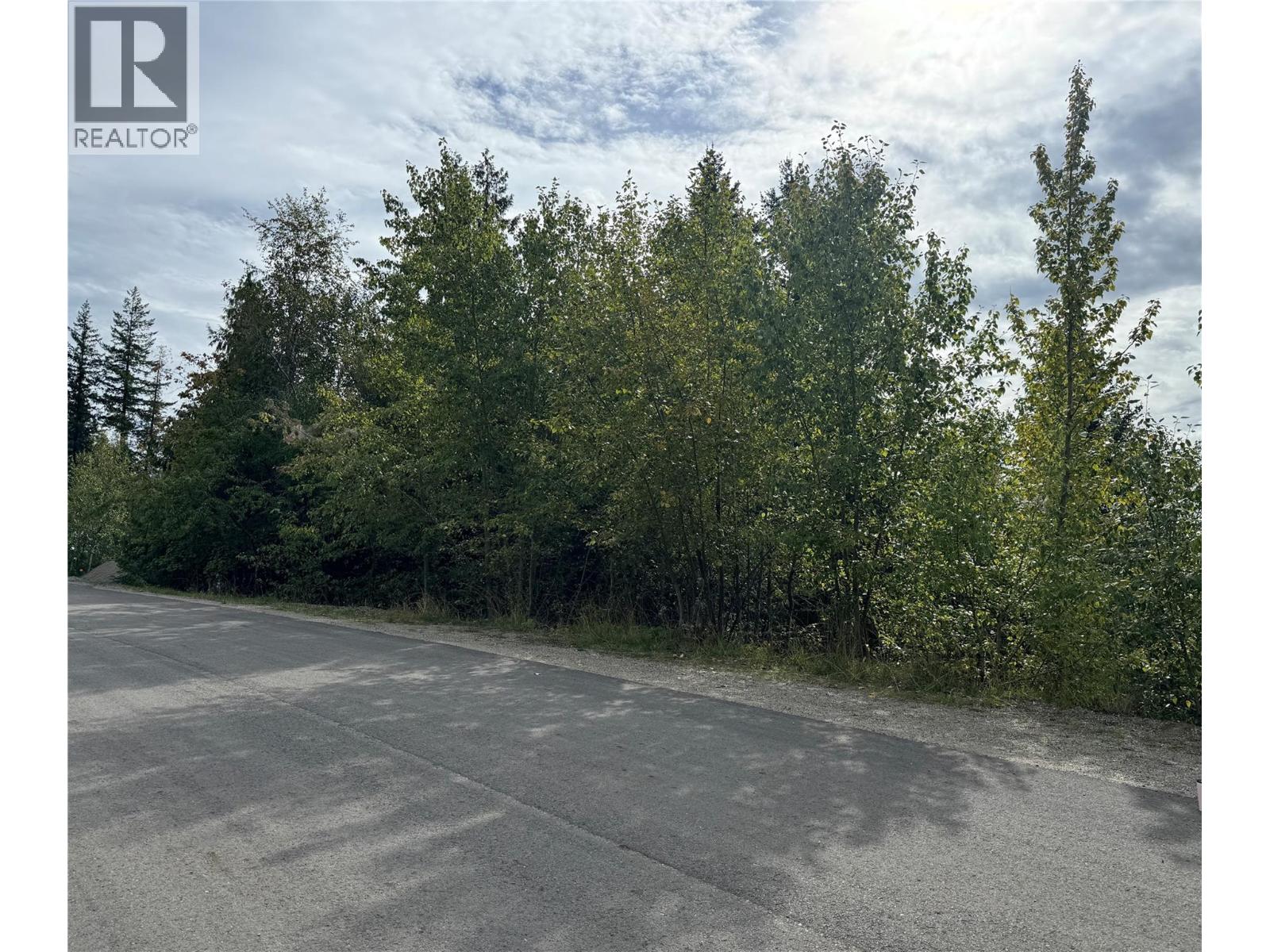 Lot 389 Anglemont Way, Anglemont, British Columbia  V0E 1M8 - Photo 3 - 10384280