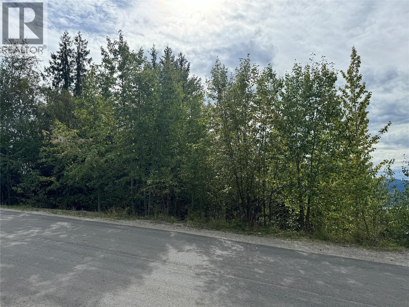 Lot 389 Anglemont Way, Anglemont, British Columbia  V0E 1M8 - Photo 5 - 10384280