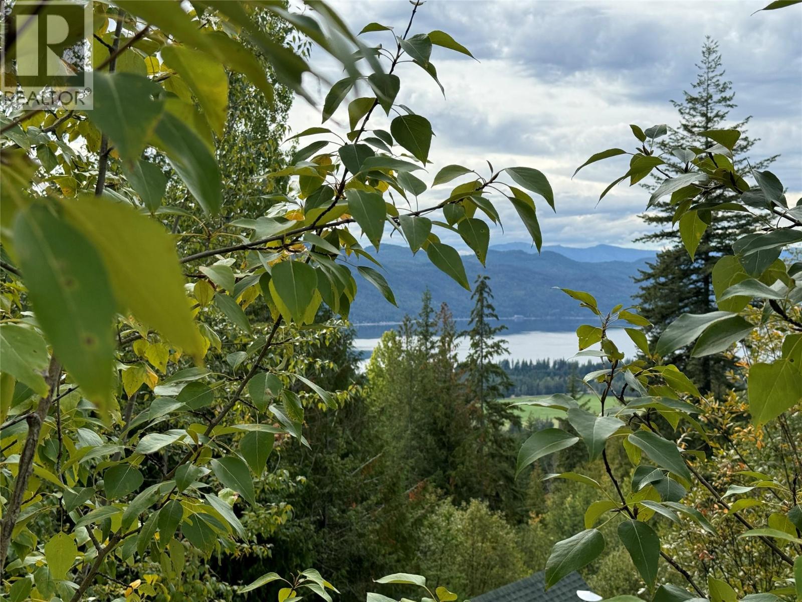 Lot 389 Anglemont Way, Anglemont, British Columbia  V0E 1M8 - Photo 8 - 10384280