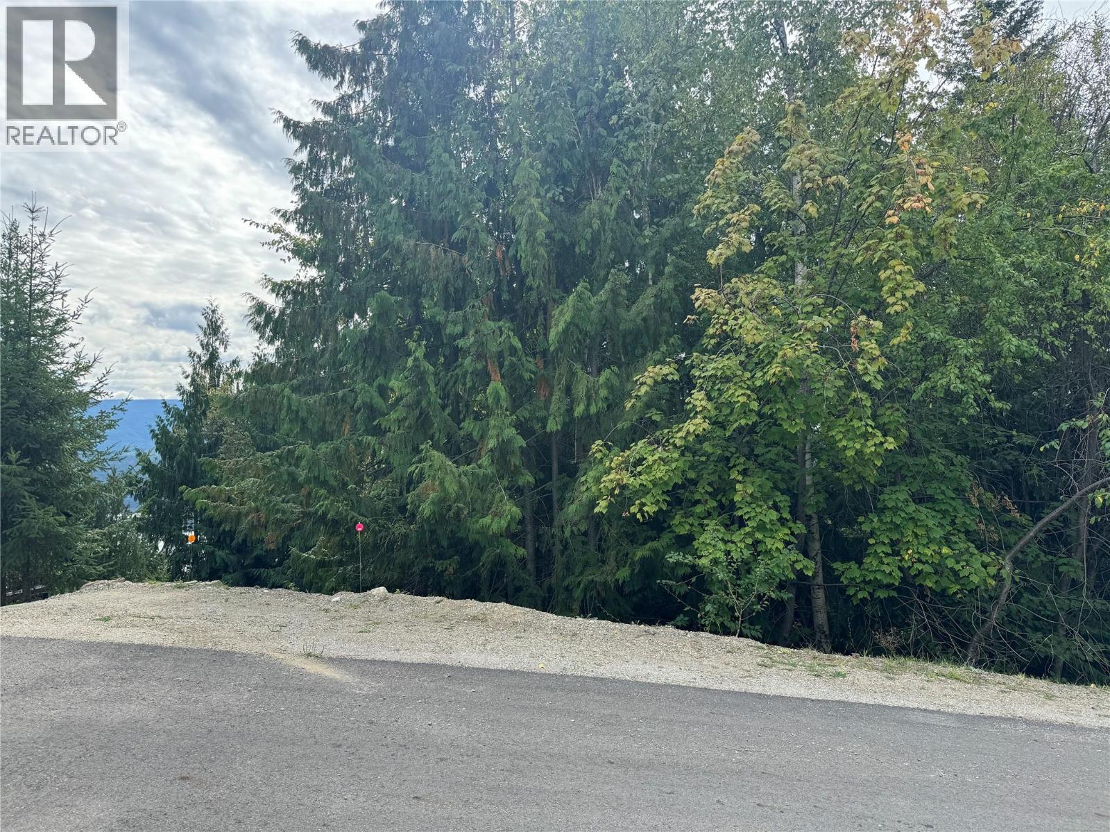 Lot 389 Anglemont Way, Anglemont, British Columbia  V0E 1M8 - Photo 9 - 10384280