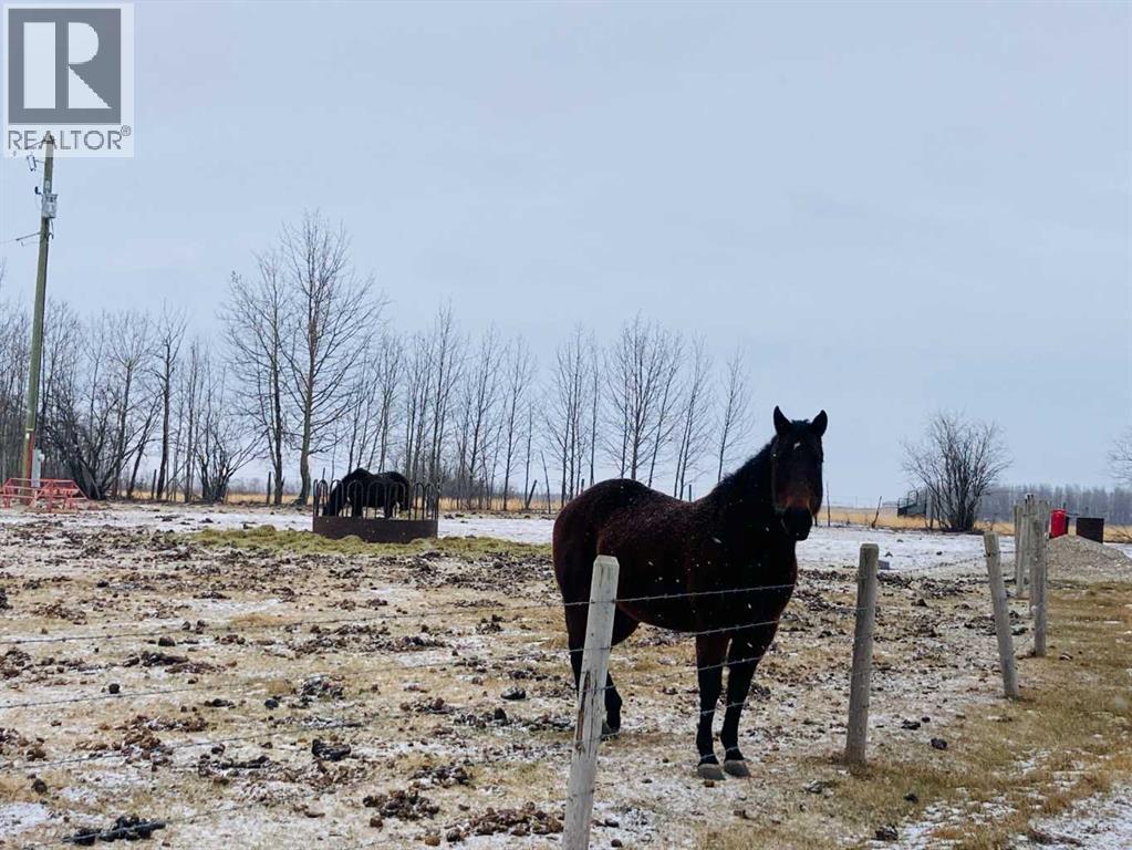 56120 Range Road 93, Mayerthorpe, Alberta  T7S 1N3 - Photo 16 - A2304342