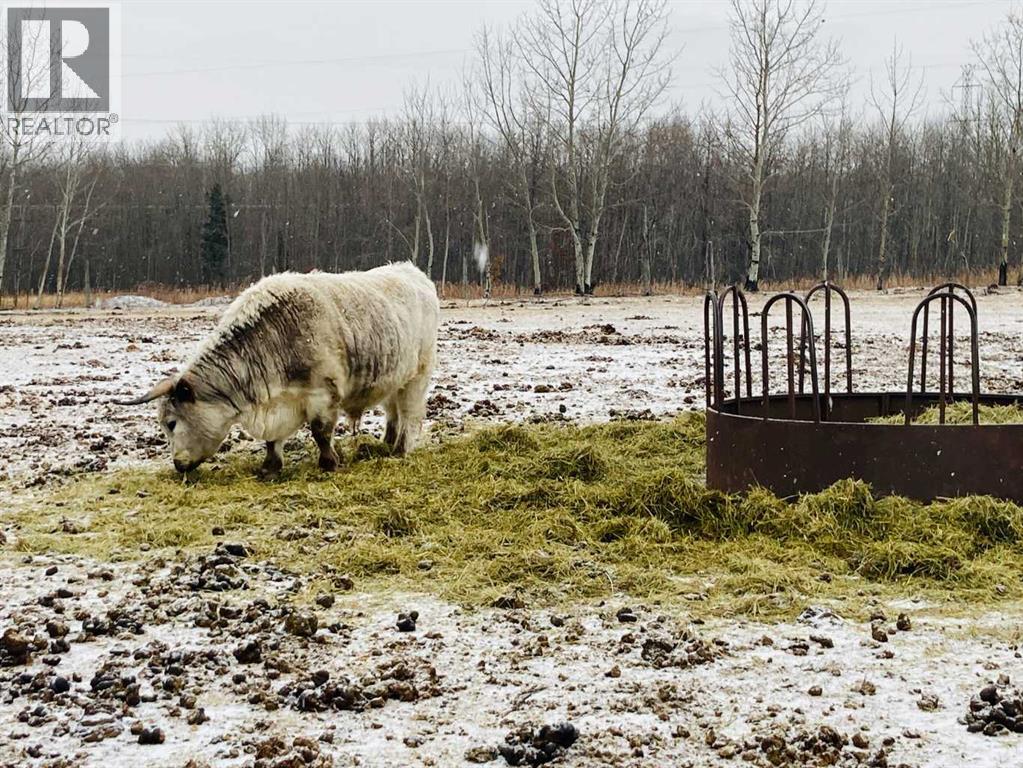 56120 Range Road 93, Mayerthorpe, Alberta  T7S 1N3 - Photo 17 - A2304342