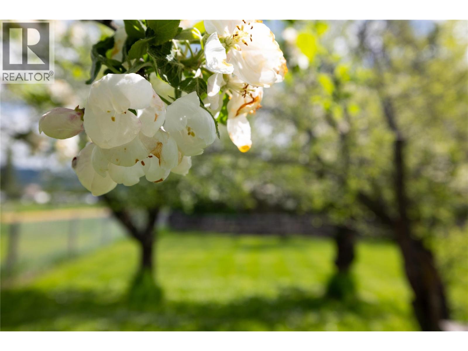 170 Whitevale Road, Lumby, British Columbia  V0E 2G7 - Photo 37 - 10384535