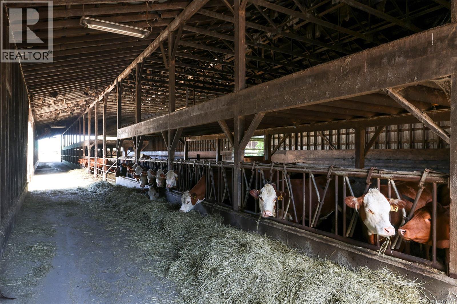 2332 Endall Rd, Black Creek, British Columbia  V9J 1G7 - Photo 57 - 1033115