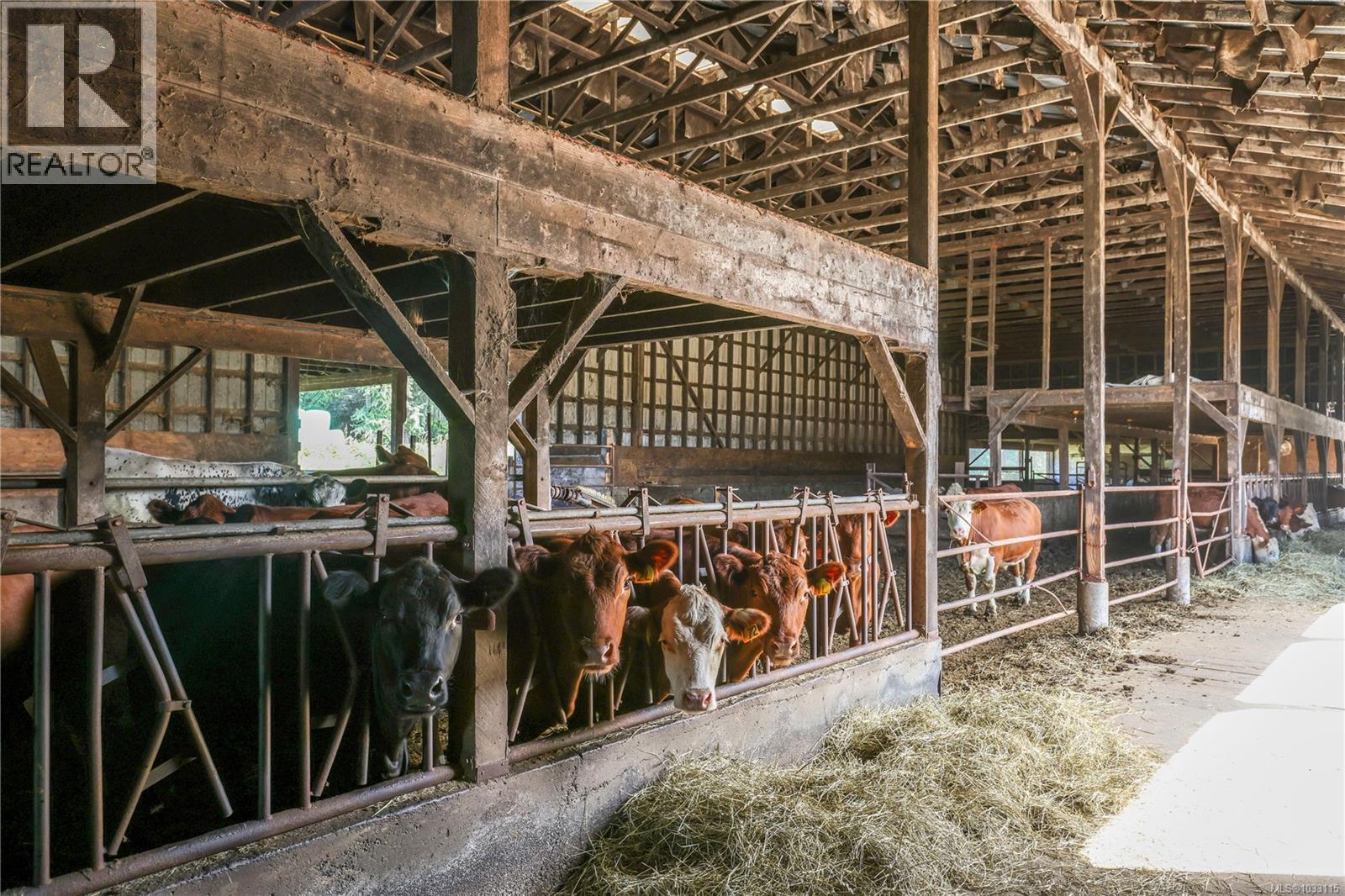 2332 Endall Rd, Black Creek, British Columbia  V9J 1G7 - Photo 58 - 1033115