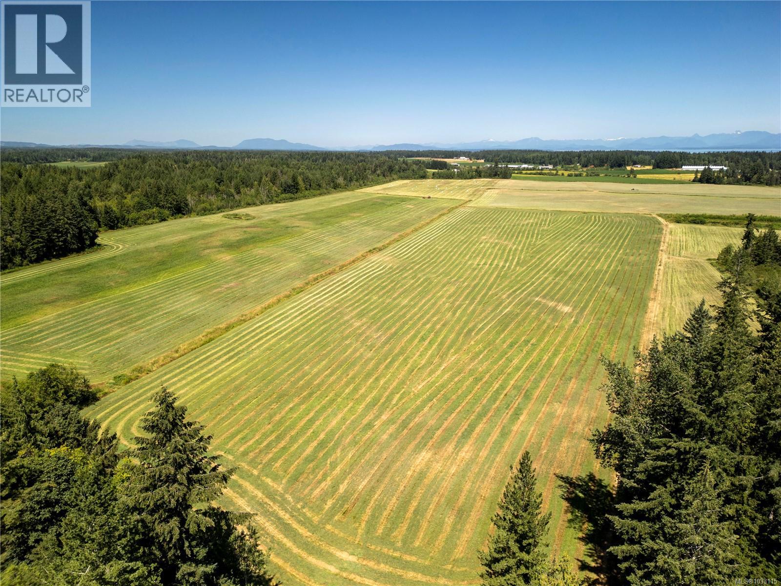 2332 Endall Rd, Black Creek, British Columbia  V9J 1G7 - Photo 70 - 1033115