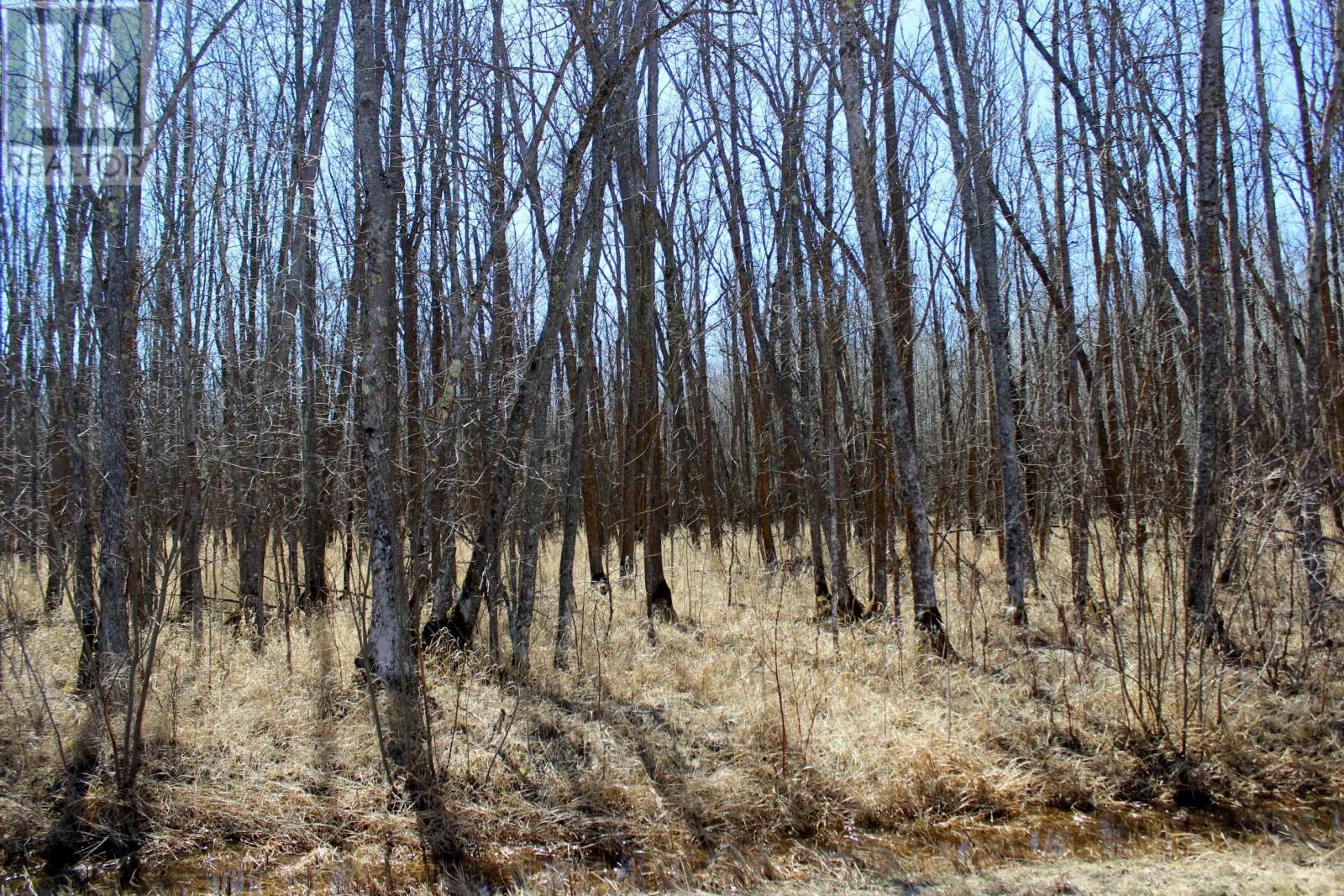 Pcl 11483 Budreau Rd, Rainy River, Ontario  P0W 1L0 - Photo 18 - TB2600780