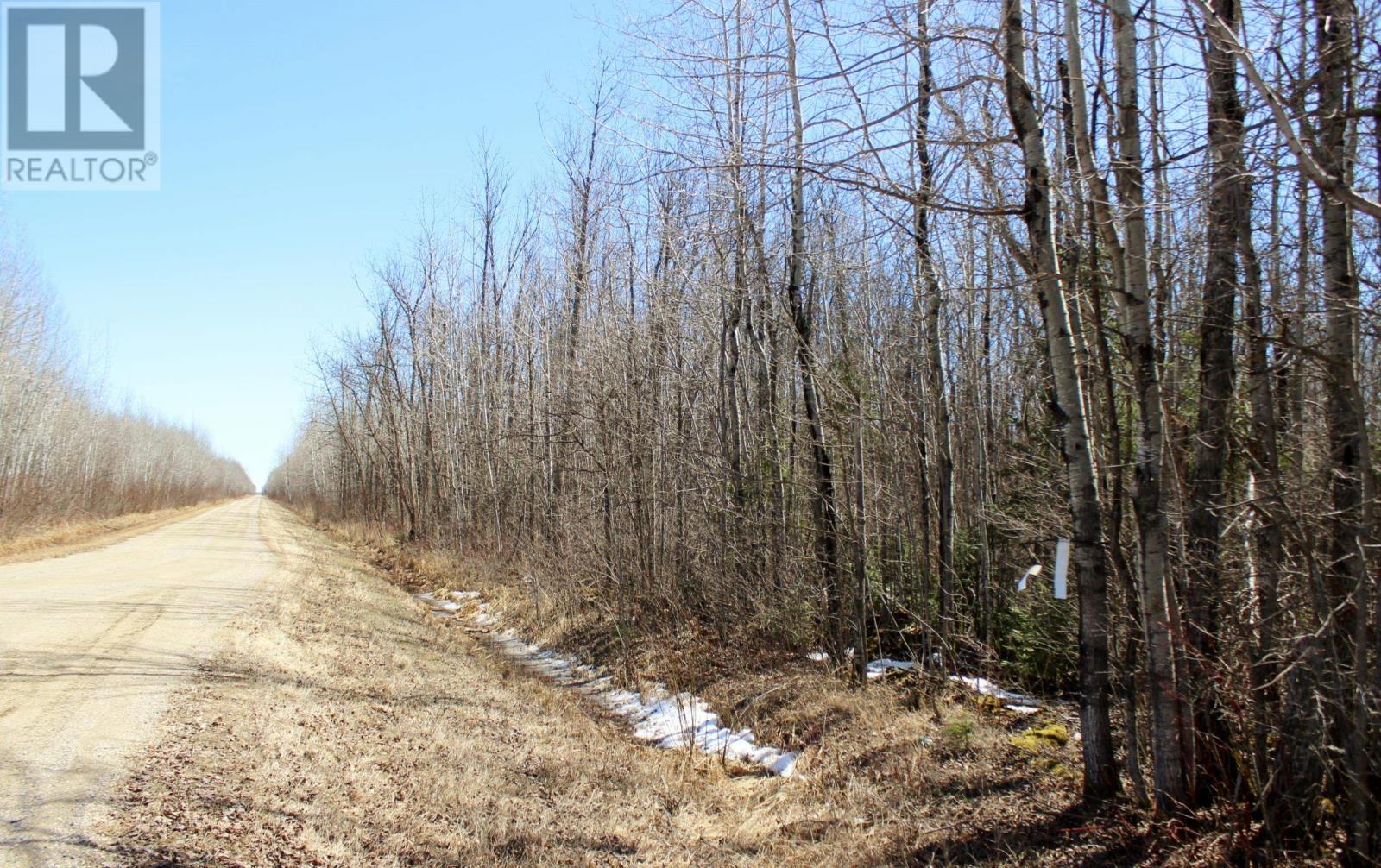 Pcl 11483 Budreau Rd, Rainy River, Ontario  P0W 1L0 - Photo 20 - TB2600780