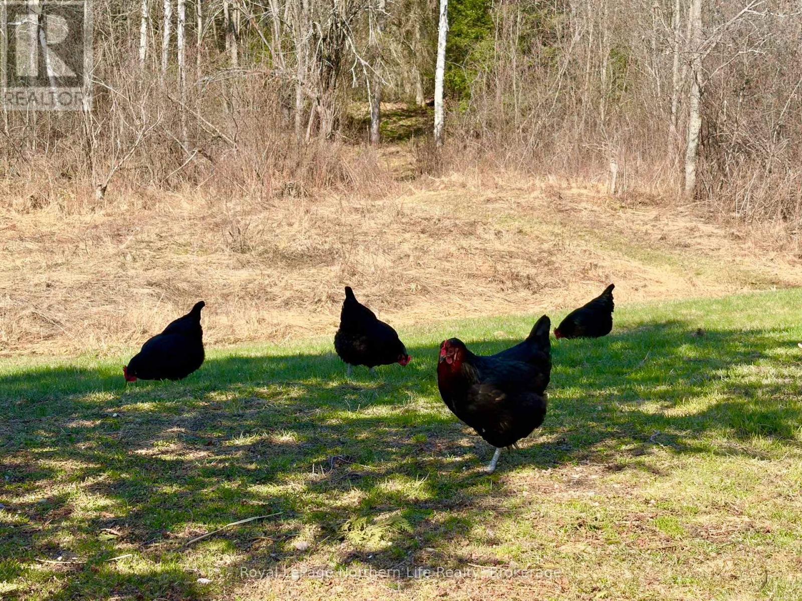 799 Maple Hill Road, Powassan, Ontario  P0H 1Z0 - Photo 26 - X13031860