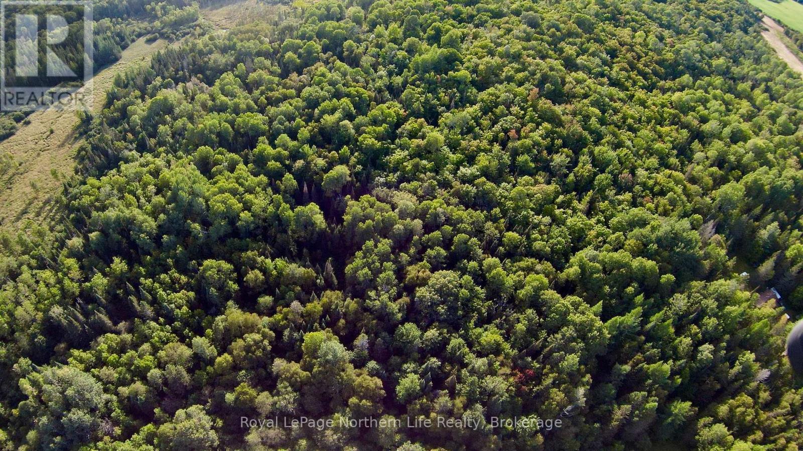 799 Maple Hill Road, Powassan, Ontario  P0H 1Z0 - Photo 37 - X13031860