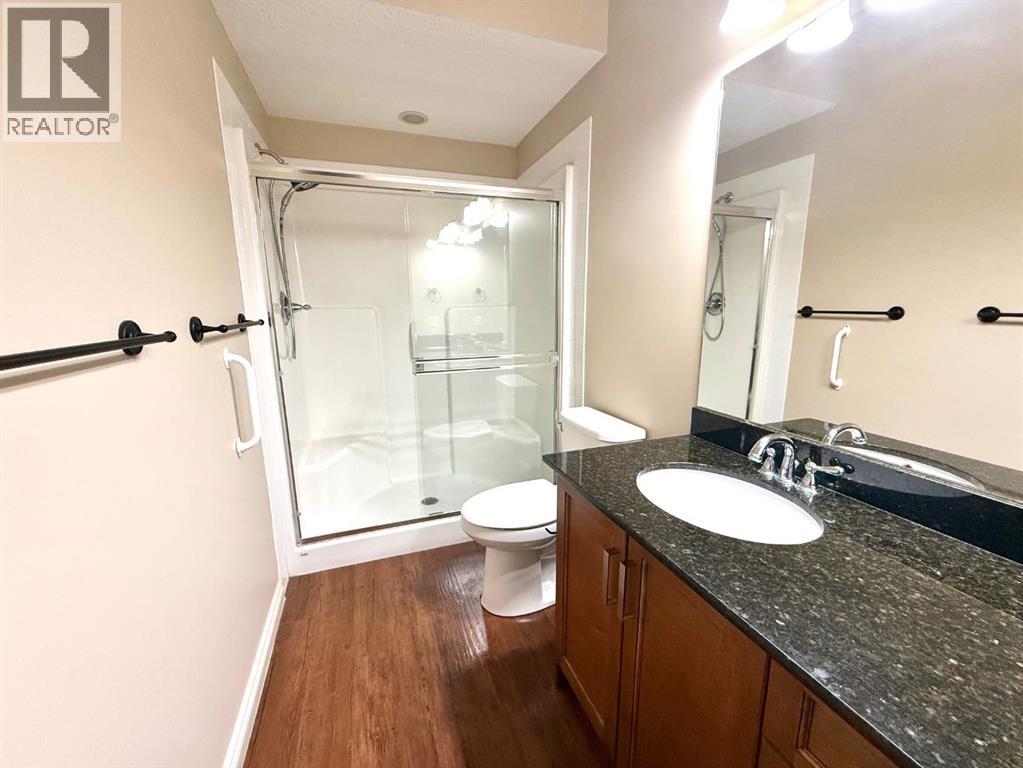 501 Sunvale Crescent NE, High River, Alberta  T1V 0E8 - Photo 18 - A2303703