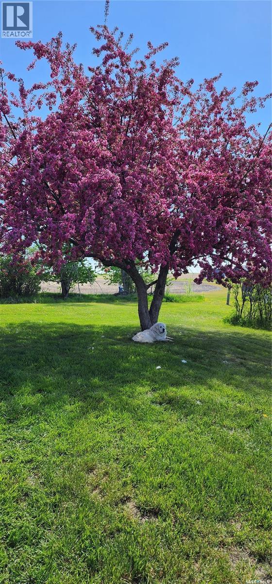 Key West Quarter, Ogema, Saskatchewan  S0C 1Y0 - Photo 49 - SK033533