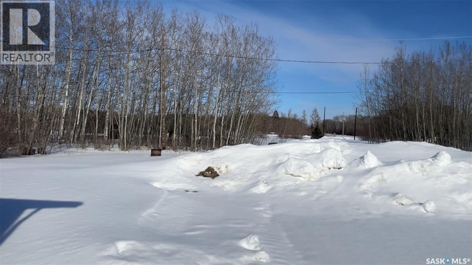 563 Birch Street, Porcupine Rm No. 395, Saskatchewan  S0E 0K0 - Photo 3 - SK033677