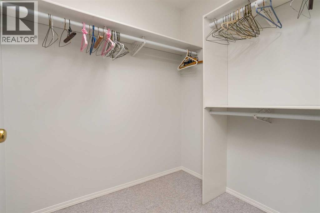 4919 53 Avenue, Viking, Alberta  T0B 4N0 - Photo 11 - A2268500