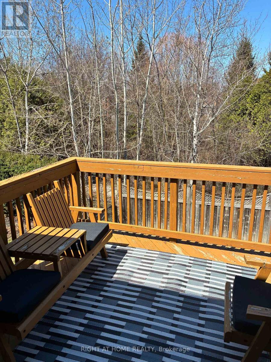 46 Woodhaven Crescent, Richmond Hill, Ontario  L4E 3T2 - Photo 49 - N12890458