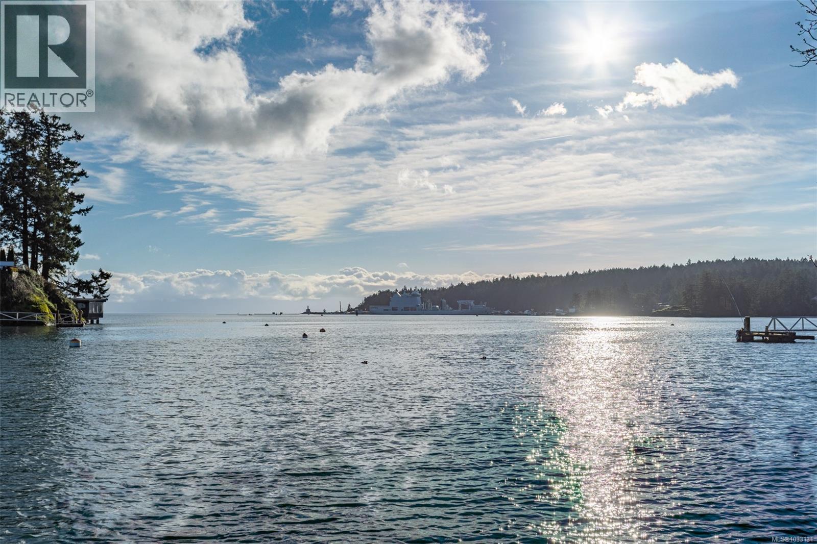 310 Bessborough Ave, View Royal, British Columbia  V9B 1T7 - Photo 33 - 1033131