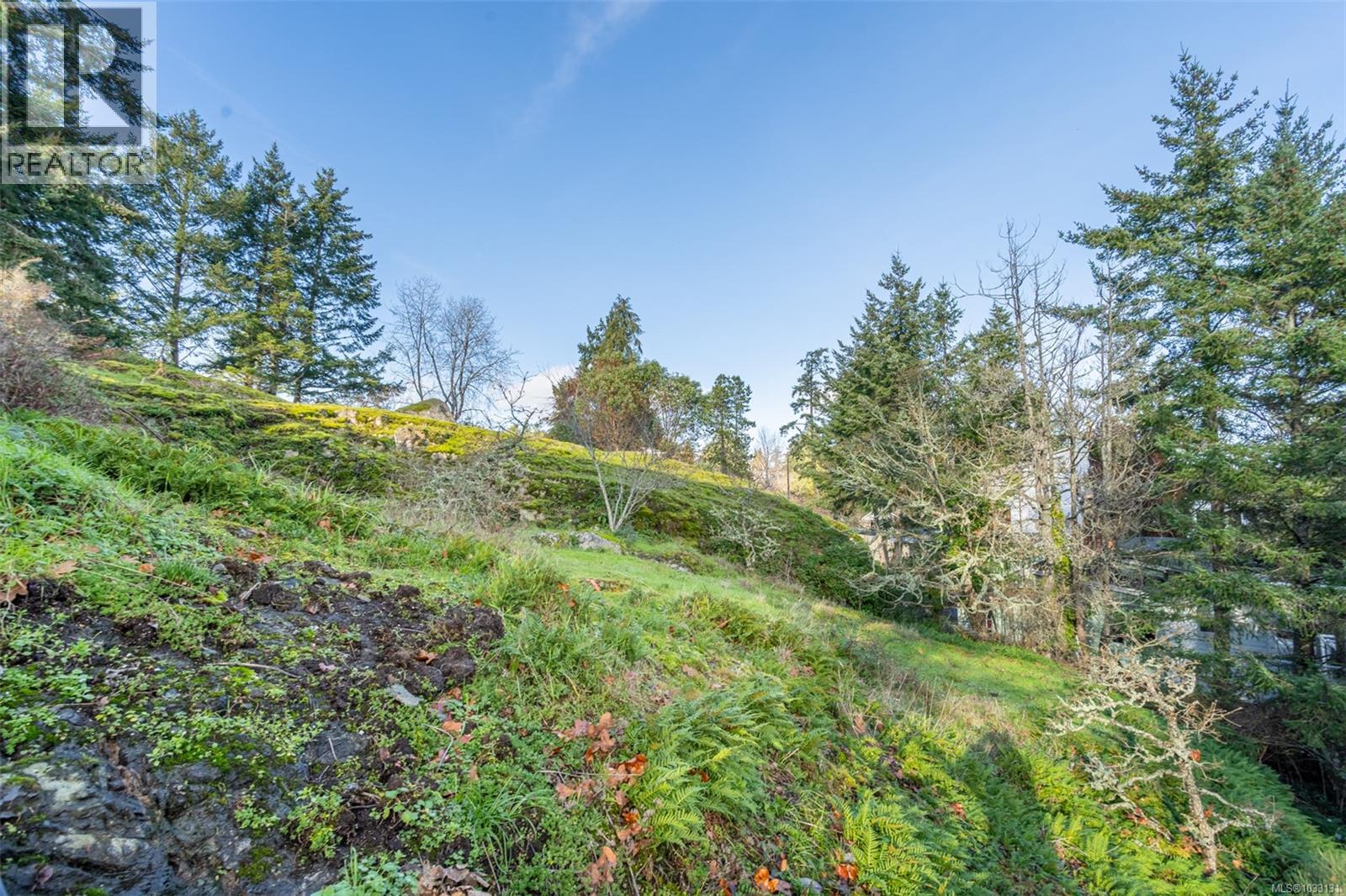 310 Bessborough Ave, View Royal, British Columbia  V9B 1T7 - Photo 37 - 1033131