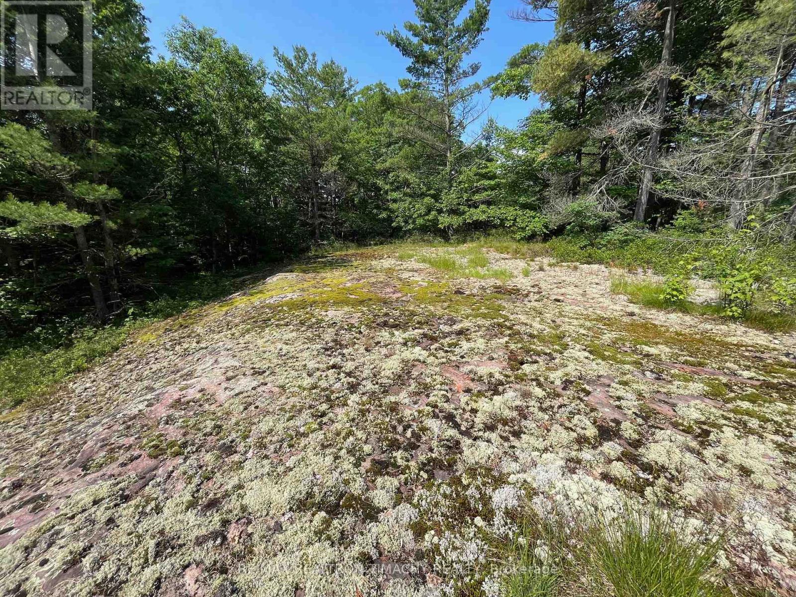 243 Prisque Road, Georgian Bay, Ontario  L0K 1S0 - Photo 15 - X13030780
