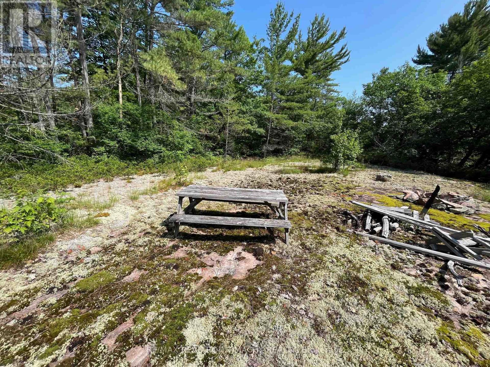 243 Prisque Road, Georgian Bay, Ontario  L0K 1S0 - Photo 16 - X13030780
