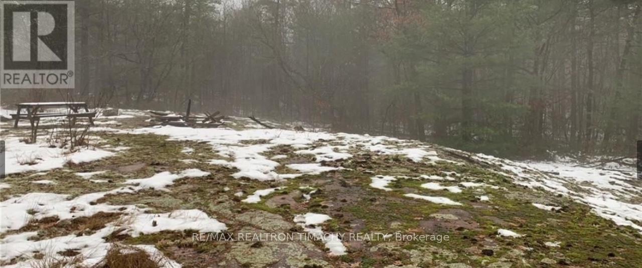 243 Prisque Road, Georgian Bay, Ontario  L0K 1S0 - Photo 34 - X13030780