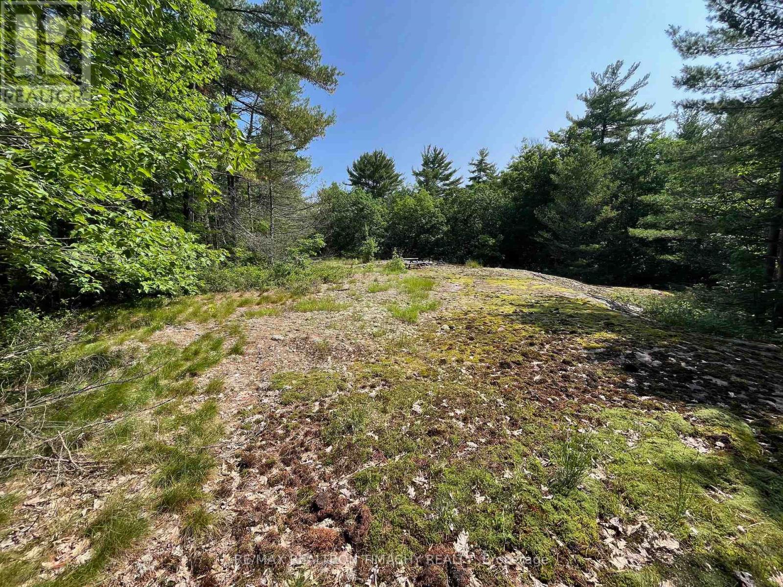 243 Prisque Road, Georgian Bay, Ontario  L0K 1S0 - Photo 17 - X13030780