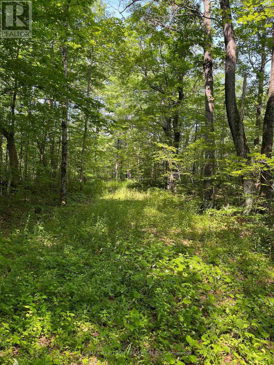 243 Prisque Road, Georgian Bay, Ontario  L0K 1S0 - Photo 26 - X13030780