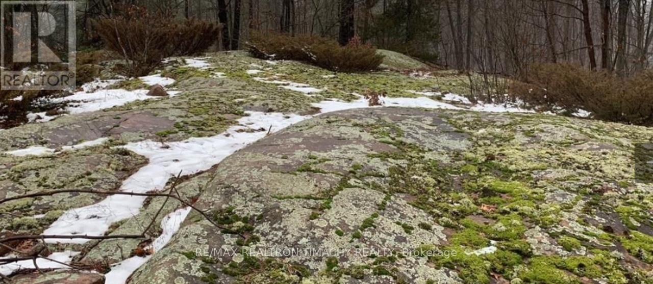 243 Prisque Road, Georgian Bay, Ontario  L0K 1S0 - Photo 35 - X13030780