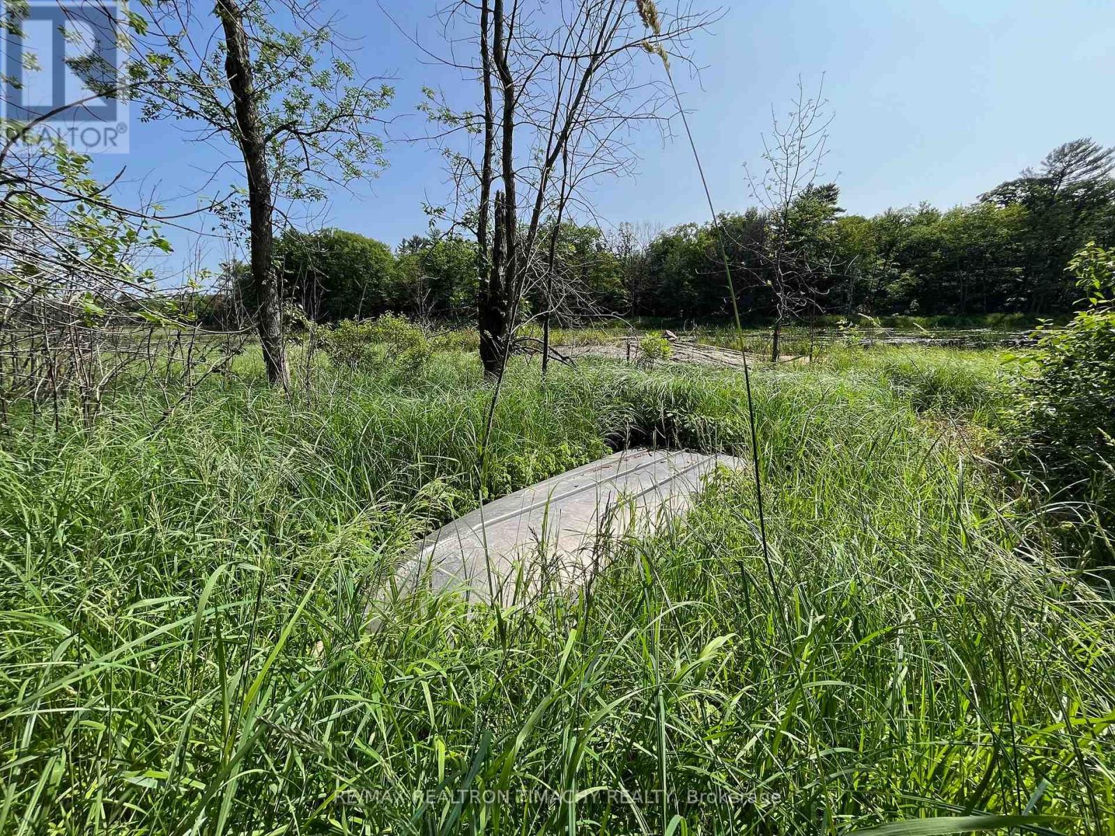 243 Prisque Road, Georgian Bay, Ontario  L0K 1S0 - Photo 8 - X13030780