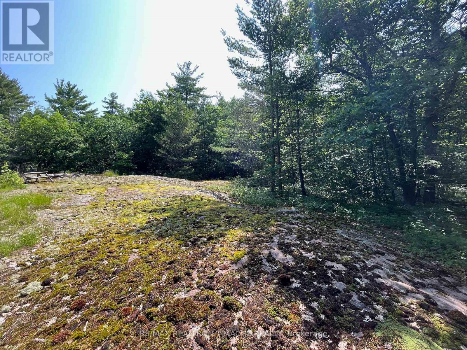 243 Prisque Road, Georgian Bay, Ontario  L0K 1S0 - Photo 18 - X13030780