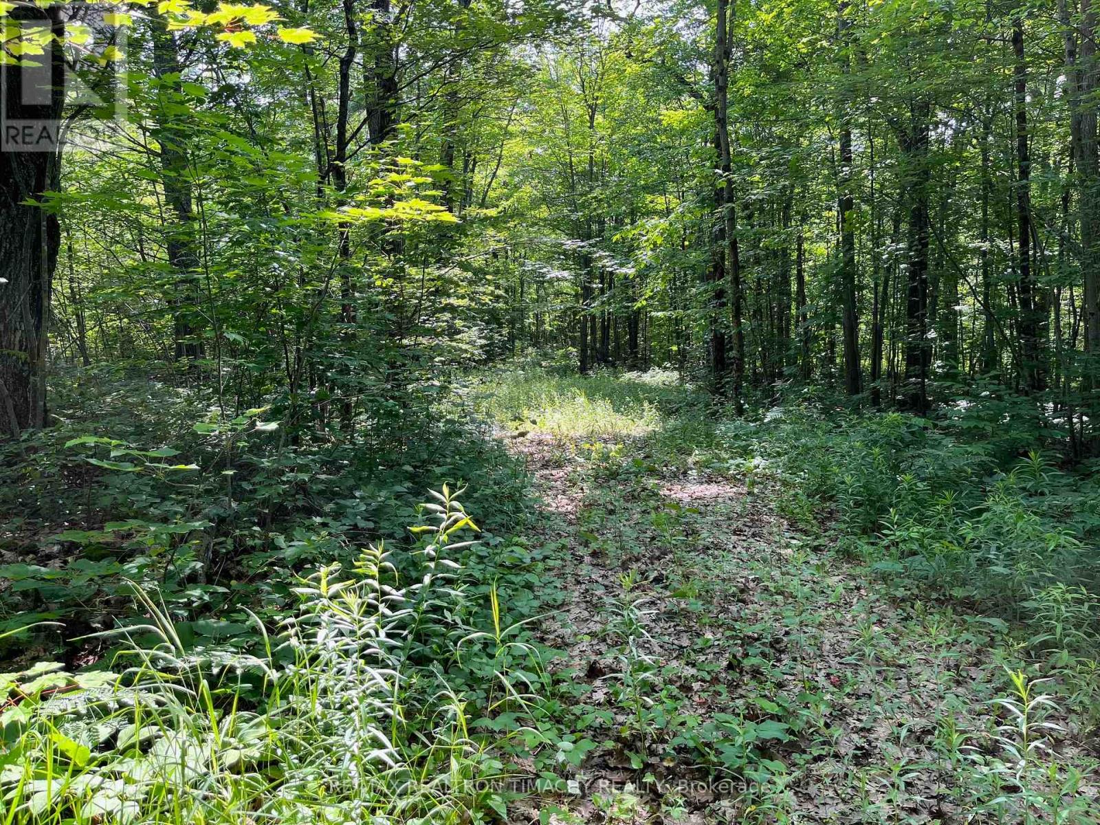 243 Prisque Road, Georgian Bay, Ontario  L0K 1S0 - Photo 27 - X13030780