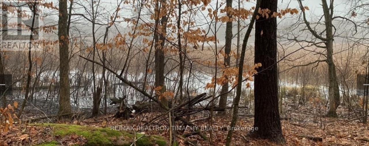 243 Prisque Road, Georgian Bay, Ontario  L0K 1S0 - Photo 32 - X13030780