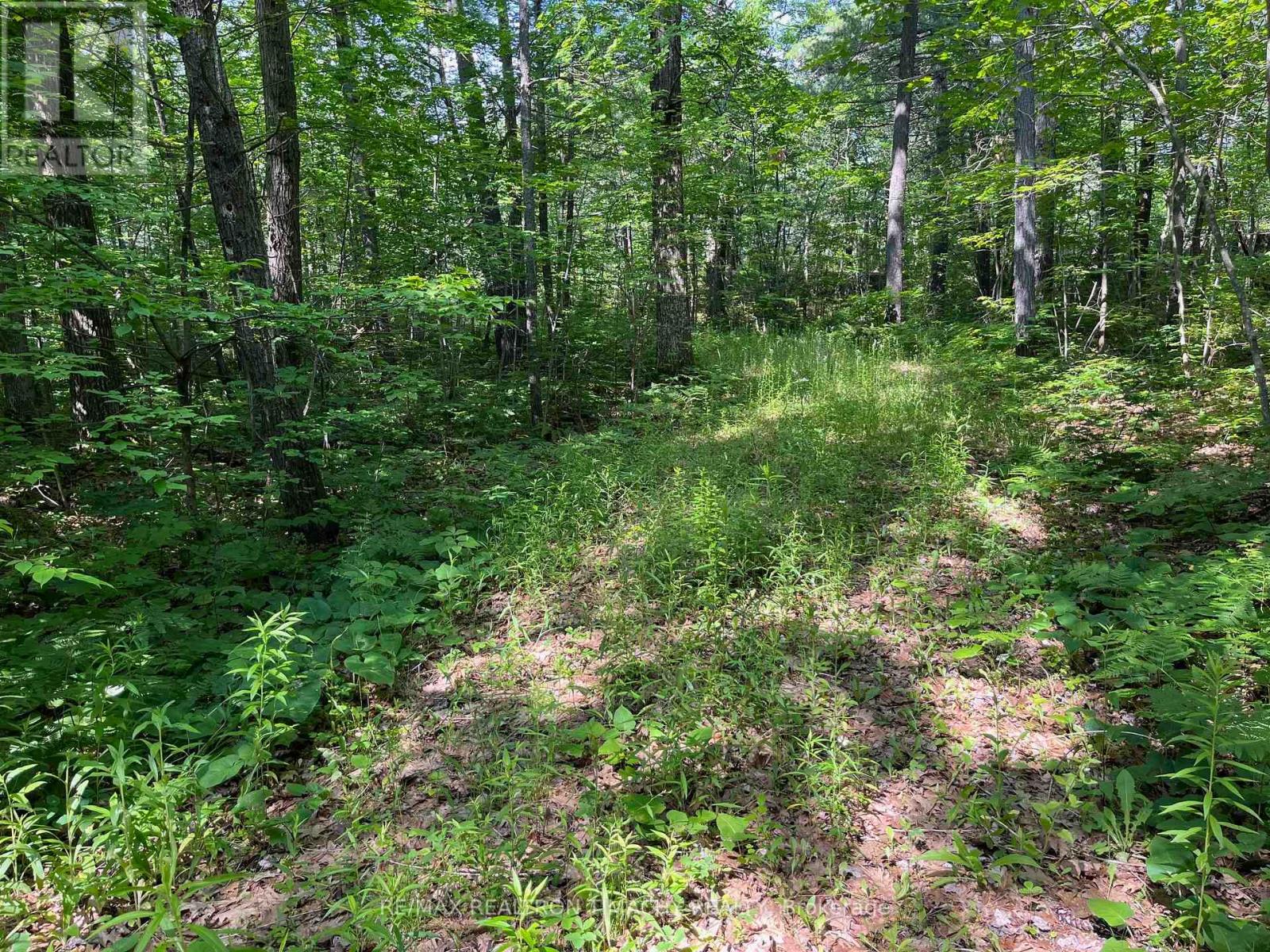 243 Prisque Road, Georgian Bay, Ontario  L0K 1S0 - Photo 21 - X13030780