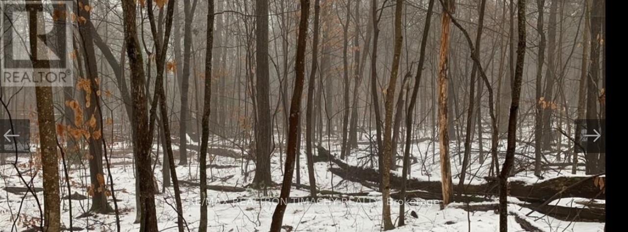 243 Prisque Road, Georgian Bay, Ontario  L0K 1S0 - Photo 36 - X13030780