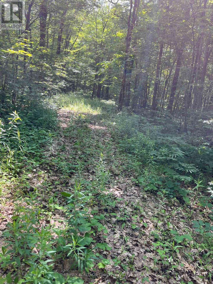 243 Prisque Road, Georgian Bay, Ontario  L0K 1S0 - Photo 28 - X13030780