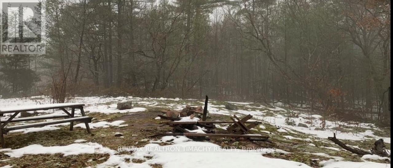 243 Prisque Road, Georgian Bay, Ontario  L0K 1S0 - Photo 33 - X13030780